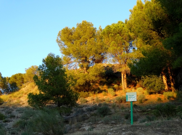 Zdjęcie z Hiszpanii - Andaluzja