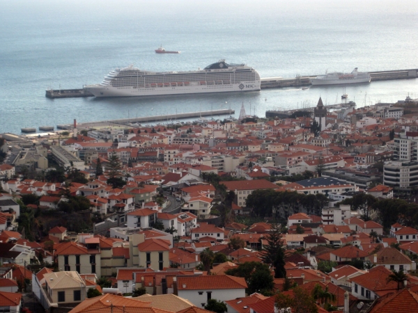 Zdjęcie z Portugalii - W dole Funchal
