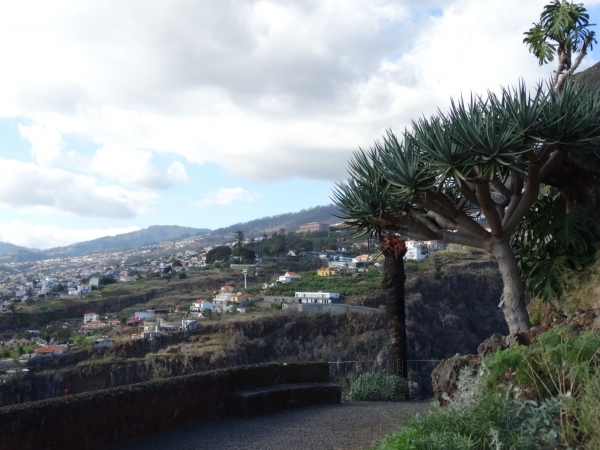 Zdjęcie z Portugalii - Funchal
