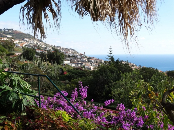 Zdjęcie z Portugalii - W ogrodzie botanicznym...