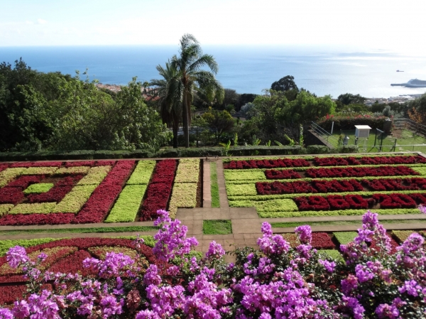 Zdjęcie z Portugalii - W ogrodzie botanicznym...
