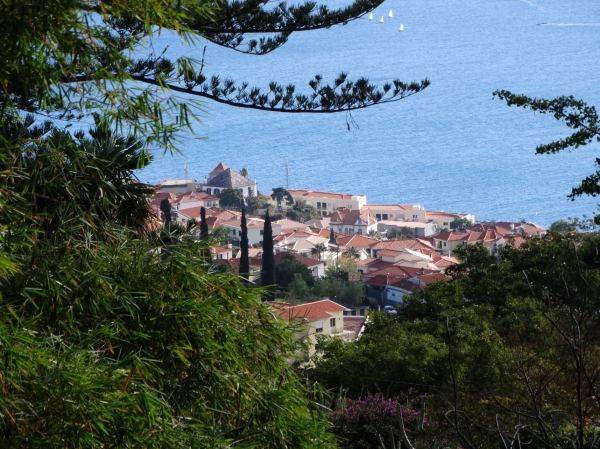 Zdjęcie z Portugalii - W ogrodzie botanicznym...
