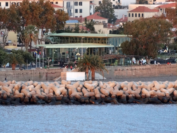 Zdjęcie z Portugalii - Funchal