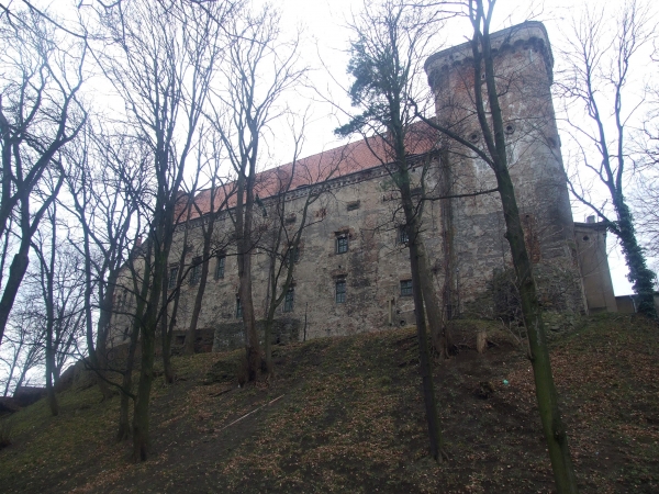 Zdjęcie z Polski - zamek