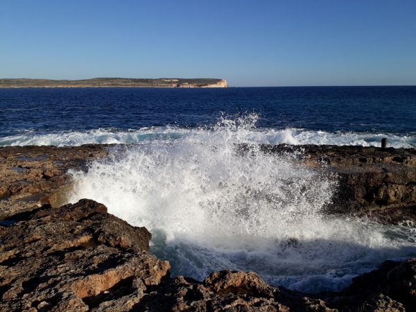 Zdjęcie z Malty - Malta