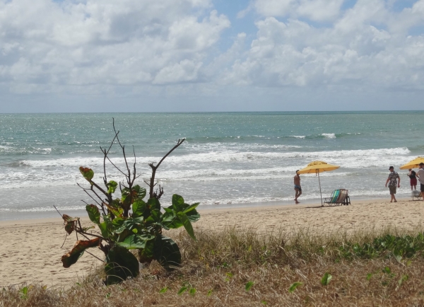 Zdjęcie z Brazylii - Recife