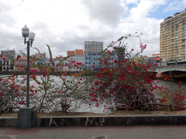 Zdjęcie z Brazylii - Recife