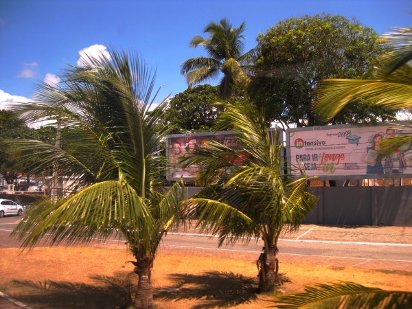 Zdjęcie z Brazylii - Maceió