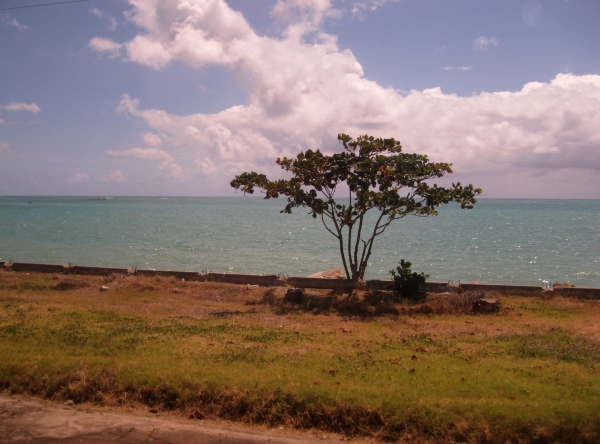 Zdjęcie z Brazylii - Maceió