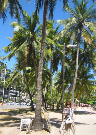 Zdjęcie z Brazylii - Maceió
