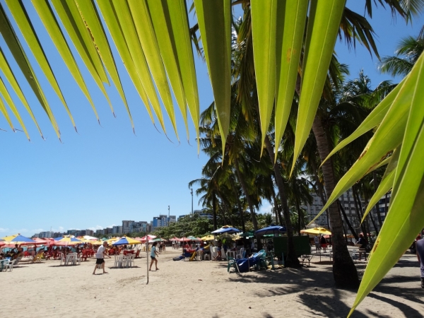Zdjęcie z Brazylii - Maceió