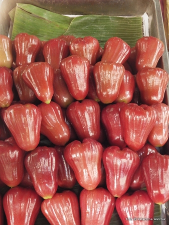 Zdjęcie z Tajlandii - Rose Apple