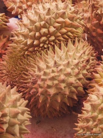 Zdjęcie z Tajlandii - Słynny durian