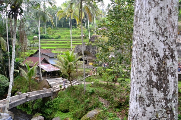 Zdjęcie z Indonezji - Widok ze swiatyni