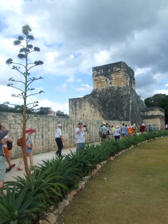 Zdjęcie z Meksyku - Chichen Itza