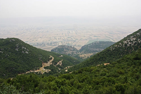 Zdjęcie z Syrii - 