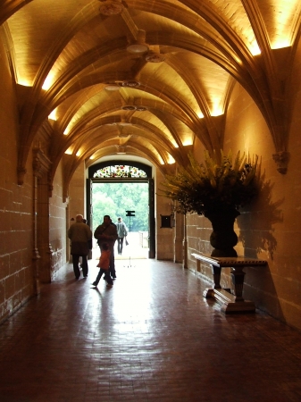 Zdjęcie z Francji - Chenoncea