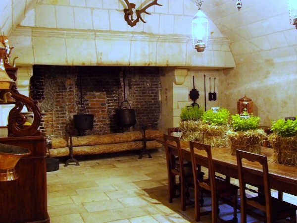 Zdjęcie z Francji - Chenoncea