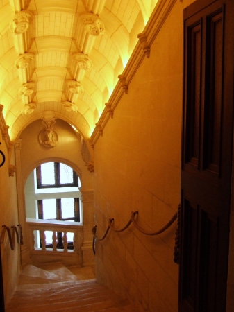 Zdjęcie z Francji - Chenoncea