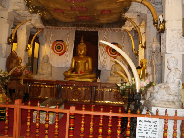 Zdjęcie ze Sri Lanki - 