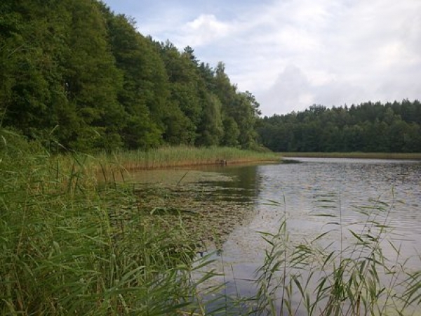 Zdjęcie z Polski - 