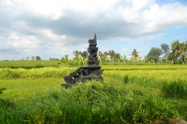 Zdjęcie z Indonezji - W drodze