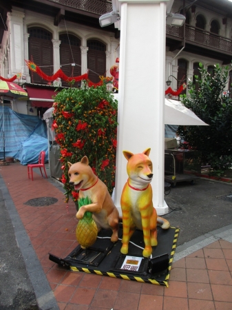 Zdjęcie z Singapuru - Singapur