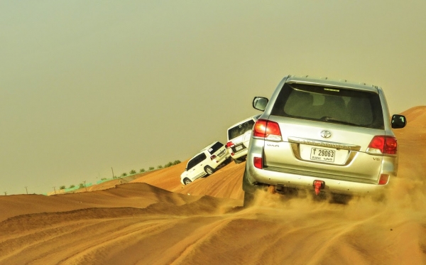 Zdjęcie z Zjednoczonych Emiratów Arabskich - grzecznie, gęsiego...