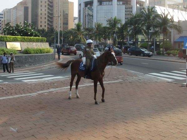 Zdjęcie ze Sri Lanki - Colombo