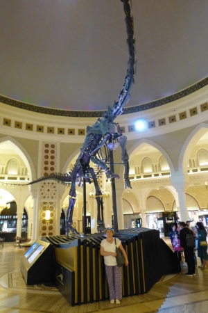 Zdjęcie z Zjednoczonych Emiratów Arabskich - ze starszą koleżanką Dubaj Dino :)