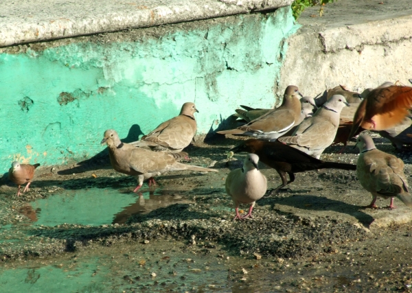 Zdjęcie z Meksyku - zagadka