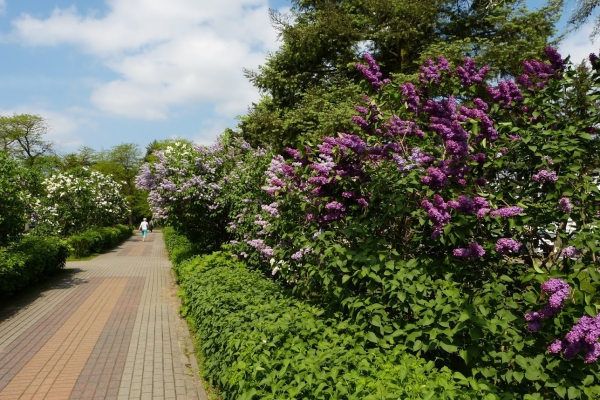 Zdjęcie z Polski - Ciechociński Park Miejski w centrum miasta - bardzo się przeliczyliśmy licząc na widok