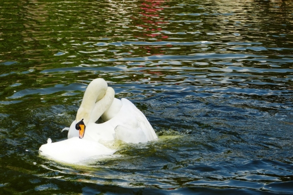 Zdjęcie z Polski - Park Zdrojowy