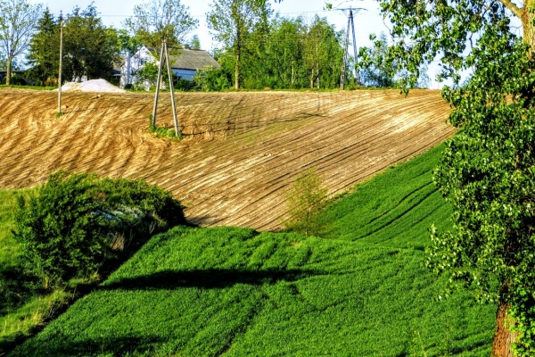 Zdjęcie z Polski - i już ziemie powiatu golubsko-dobrzyńskiego