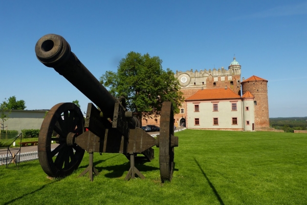 Zdjęcie z Polski - Kolubryna kmicicowa