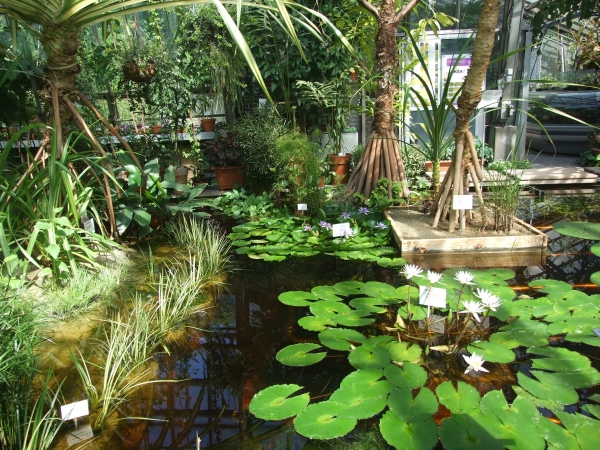 Zdjęcie z Polski - ogród botaniczny