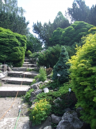 Zdjęcie z Polski - ogród botaniczny