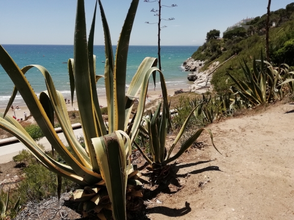 Zdjęcie z Hiszpanii - Salou