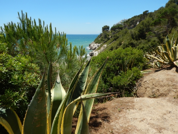 Zdjęcie z Hiszpanii - Salou