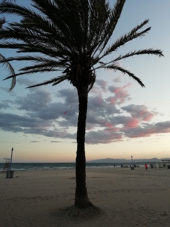 Zdjęcie z Hiszpanii - Salou