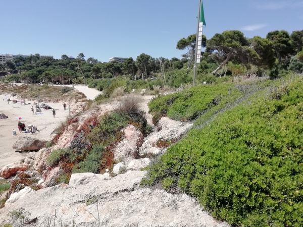 Zdjęcie z Hiszpanii - Salou