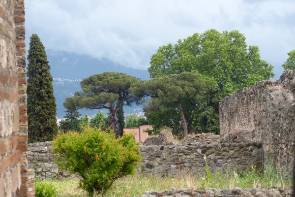 Zdjęcie z Włoch - w murach Pompei