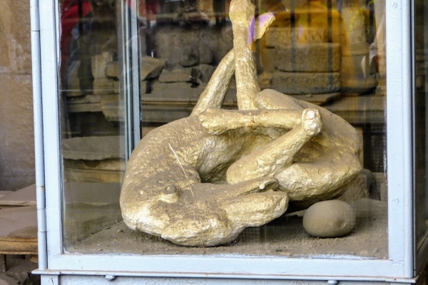 Zdjęcie z Włoch - pies z Pompei