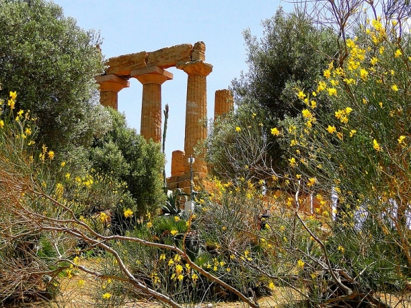 Zdjęcie z Włoch - Agrigento. Dolina Świątyń.