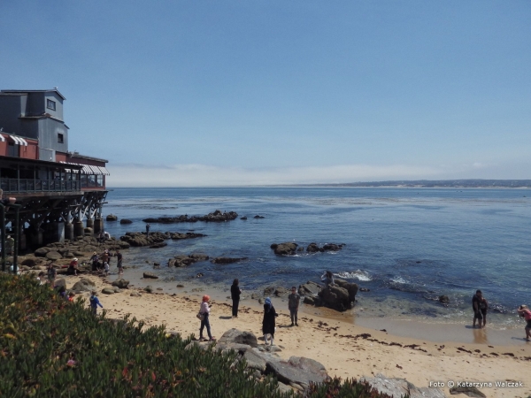 Zdjęcie ze Stanów Zjednoczonych - Dotarliśmy do Monterey