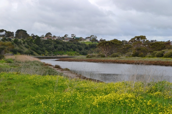 Zdjęcie z Australii - Rzeka Onkaparinga
