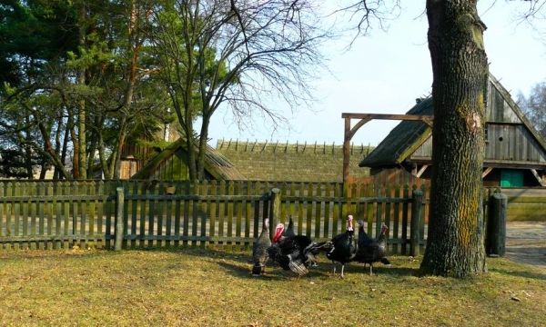Zdjęcie z Polski - 
