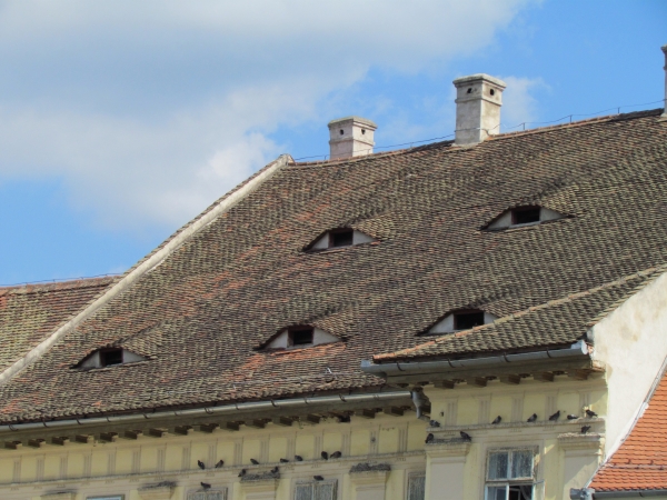 Zdjęcie z Rumunii - Sibiu