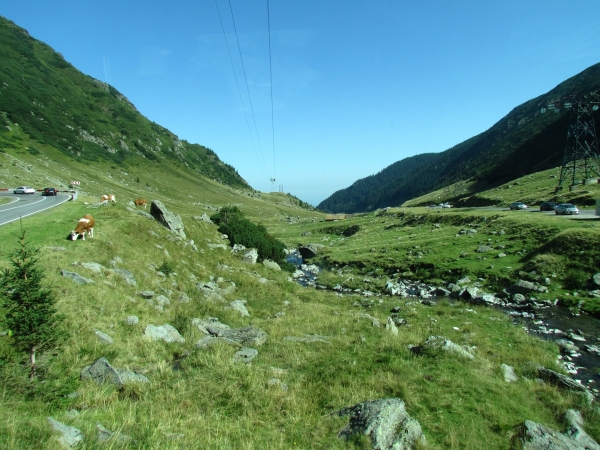 Zdjęcie z Rumunii - Transfăgărășan