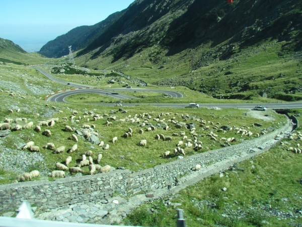 Zdjęcie z Rumunii - Transfăgărășan